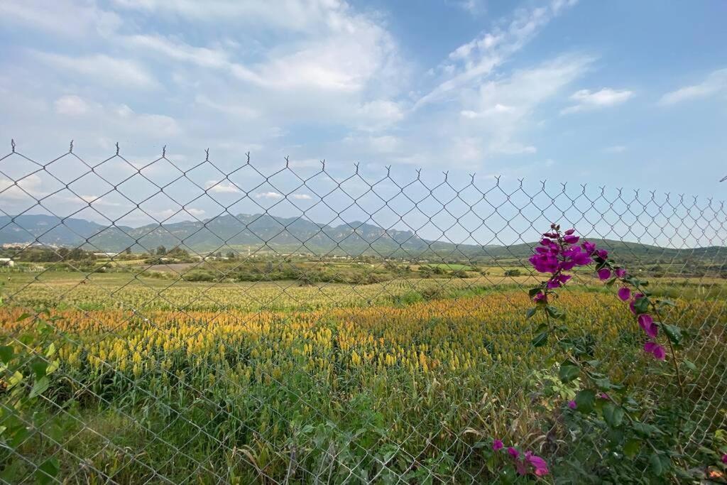 Kali-Mali Casa De Campo Eco-Friendly Malinalco Villa Dış mekan fotoğraf